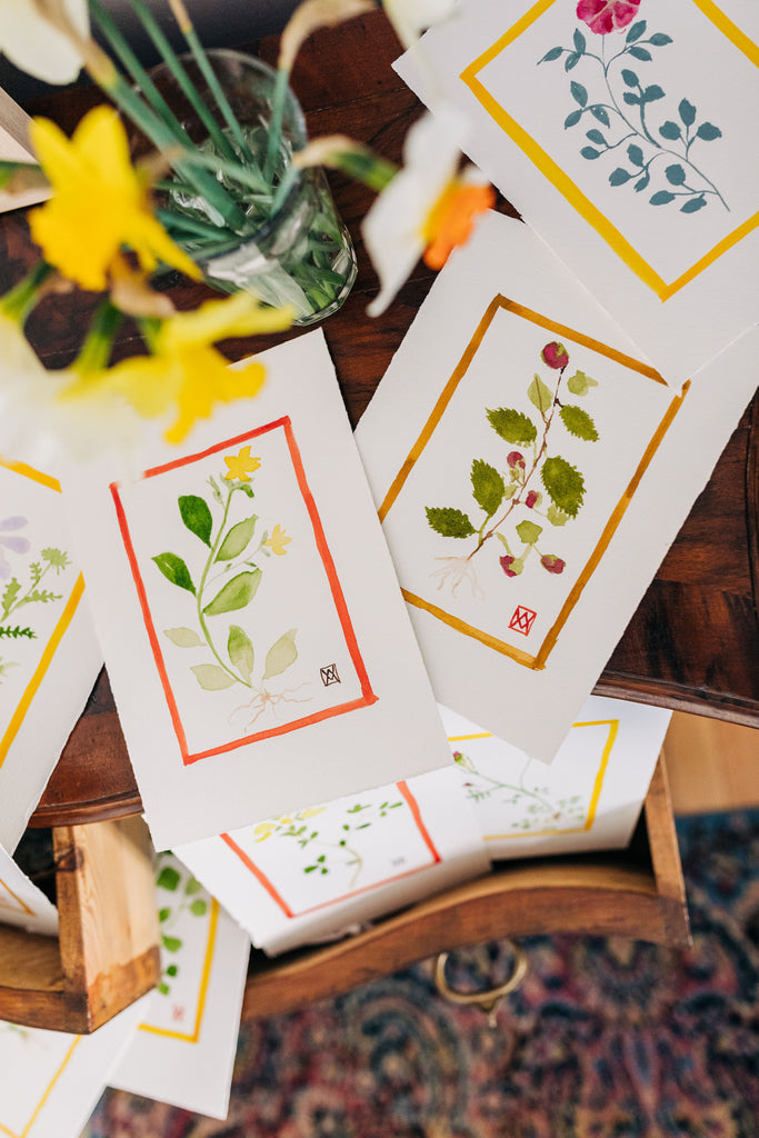 Artist Release | 'Botanicals' by Whitney McGregor