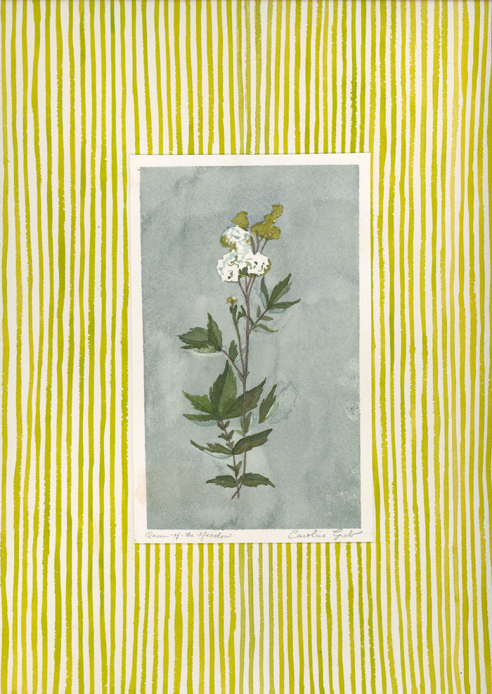 Caroline Greb