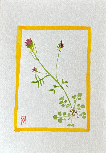Botanical, Ten
