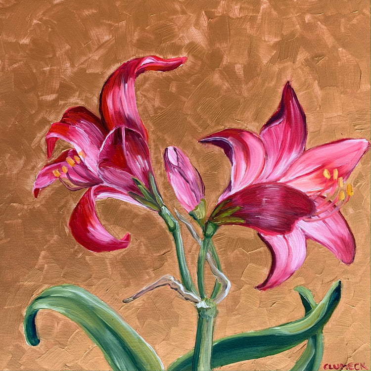Amaryllis, Two