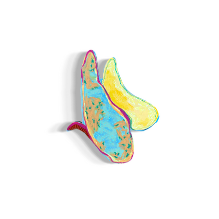 Butterfly #83