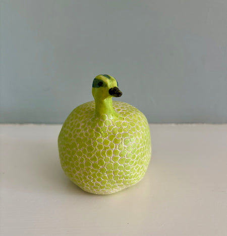 Guinea Hen, Six