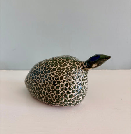 Guinea Hen, Seven