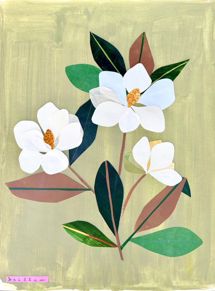 Classic Magnolias on Green