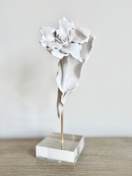 Étude Botanique, 10