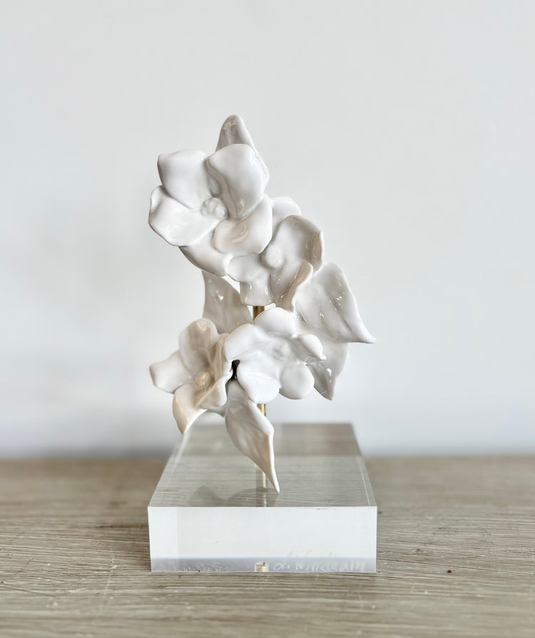 Étude Botanique, 11