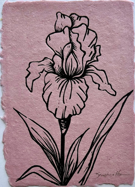 Iris