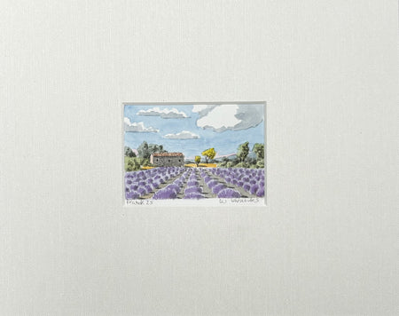 Mementos From Provence, One