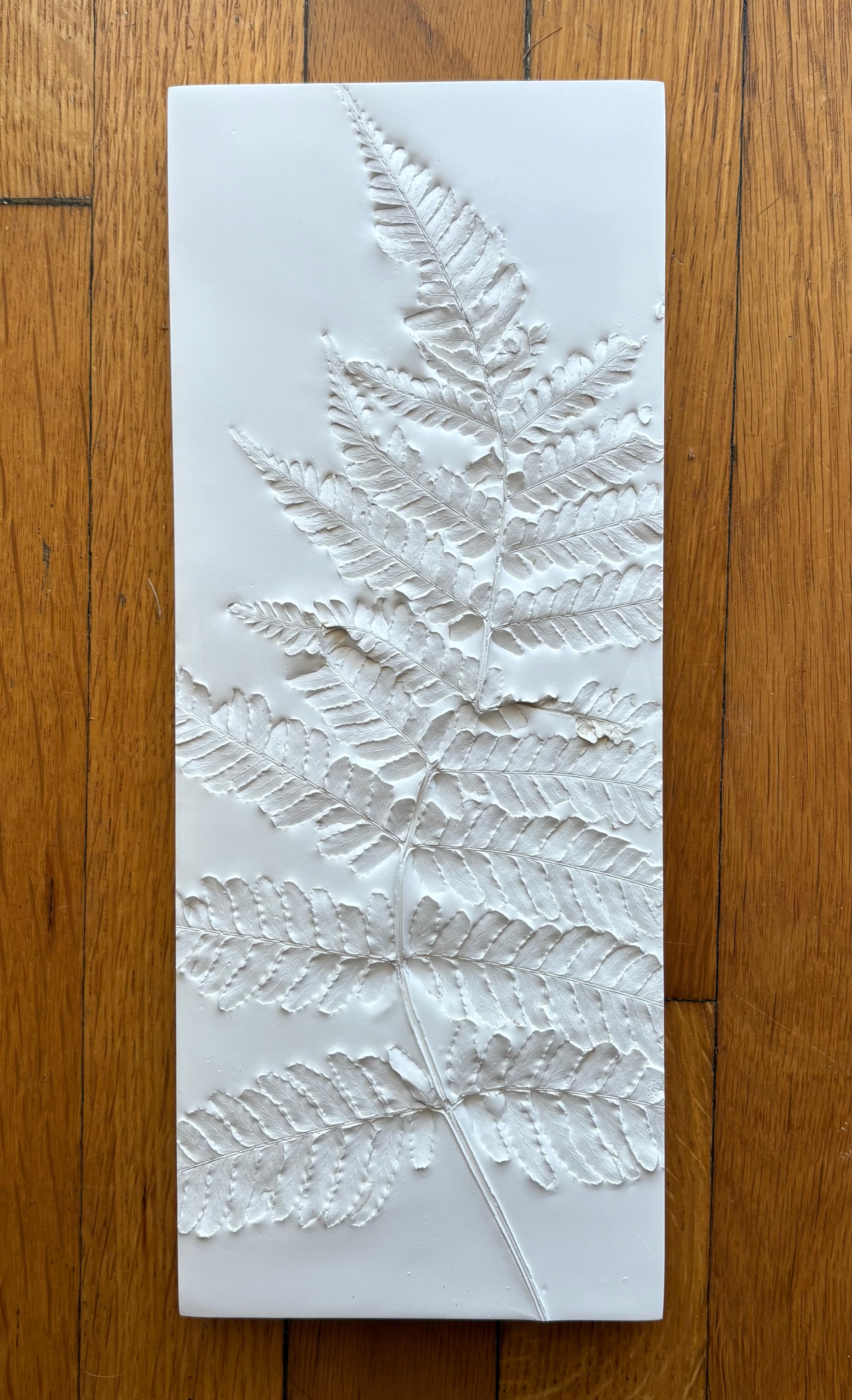 Rectangle, Three – The Campbell Collective