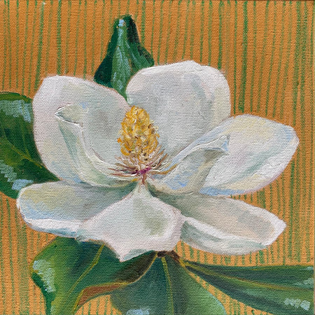 Small Magnolia