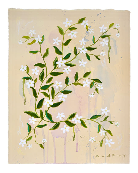 Star Jasmine No. 1