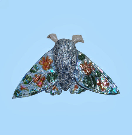 Nasturtium Moth