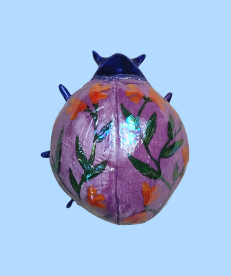 Milkweed Beetle