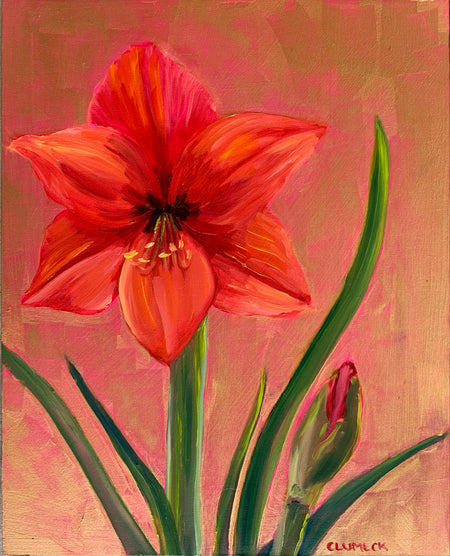 Small Amaryllis